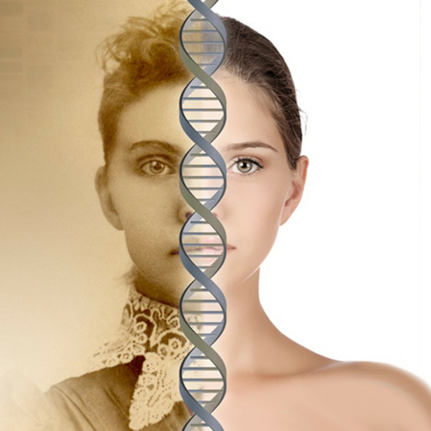 <span style="font-weight: bold;">Тест ДНК на этническое происхождение</span>